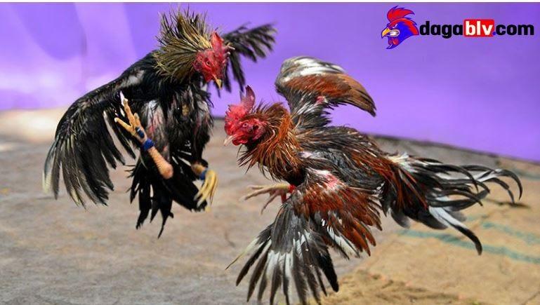 Cập nhật xem lại bóng đá đêm qua đầy đủ và nhanh nhất